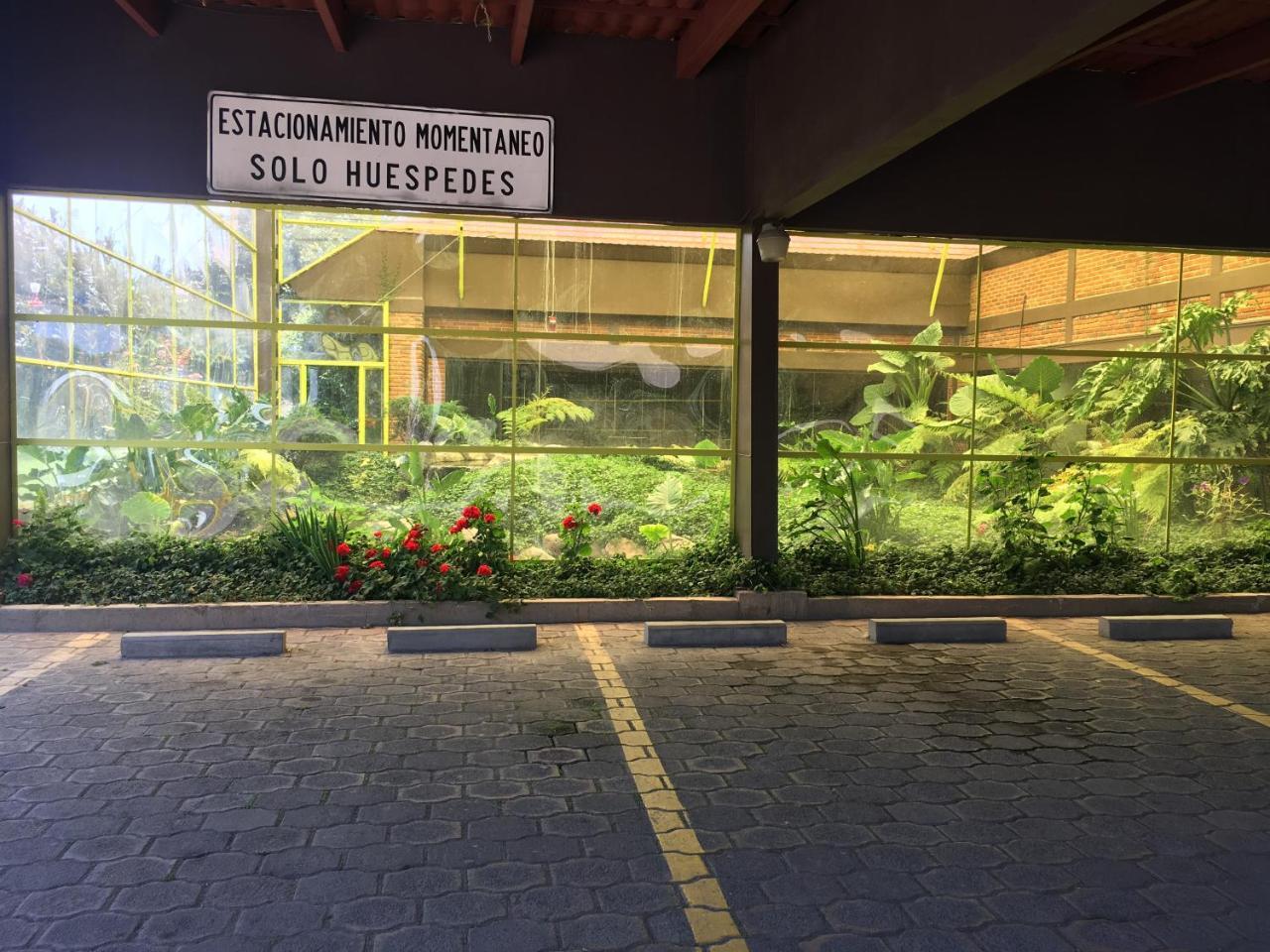 Hotel Oliver Inn Toluca Dış mekan fotoğraf